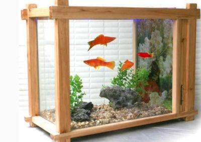 把魚缸放在陽臺(tái)的位置好不好：魚缸擺放在陽臺(tái)的風(fēng)水注意事項(xiàng) 把魚缸放在陽臺(tái)的位置好不好：魚缸擺放在陽臺(tái)的風(fēng)水注意事項(xiàng) 魚缸百科 第4張