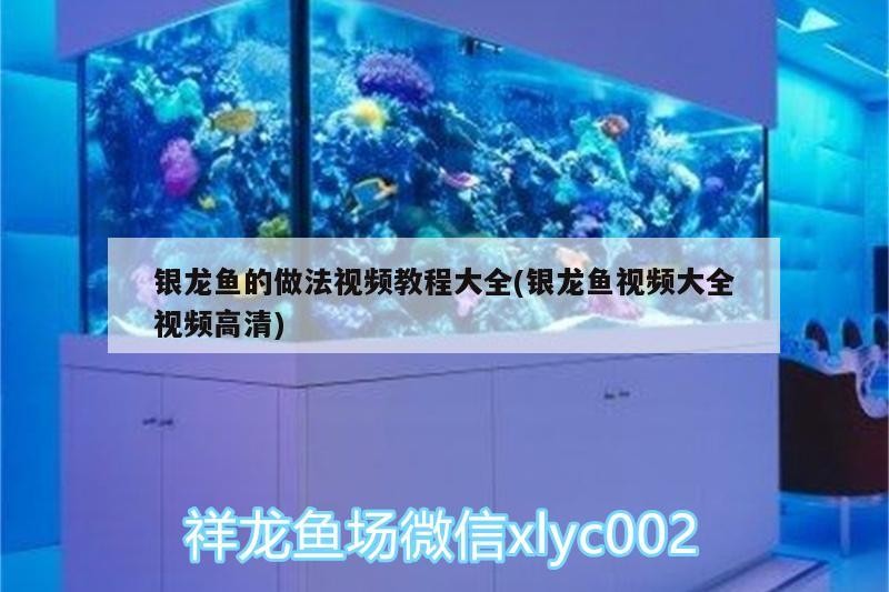 銀龍魚(yú)的做法視頻教程大全(銀龍魚(yú)視頻大全視頻高清)