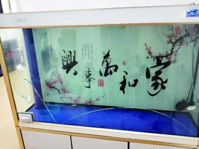 成品魚(yú)缸漏水能修嗎多少錢(qián):成品魚(yú)缸漏水可以修復(fù)嗎魚(yú)缸漏水的修復(fù)方法是什么 魚(yú)缸百科 第3張 成品魚(yú)缸漏水能修嗎多少錢(qián):成品魚(yú)缸漏水可以修復(fù)嗎魚(yú)缸漏水的修復(fù)方法是什么 成品魚(yú)缸漏水能修嗎多少錢(qián):成品魚(yú)缸漏水可以修復(fù)嗎魚(yú)缸漏水的修復(fù)方法是什么 魚(yú)缸百科 第3張