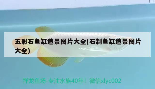 五彩石魚缸造景圖片大全(石制魚缸造景圖片大全)