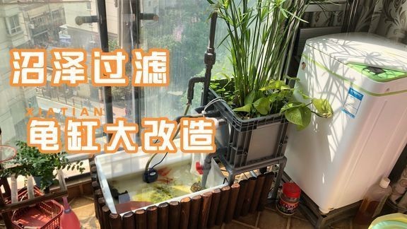 側濾魚缸改造龜缸視頻：側濾魚缸改造龜缸