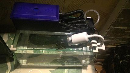 大魚缸安裝過(guò)濾器一套多少錢一個(gè)平方米：大魚缸安裝過(guò)濾器一套的價(jià)格