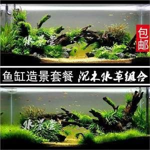 不種水草魚(yú)缸怎樣造景：不種水草的魚(yú)缸怎么造景？