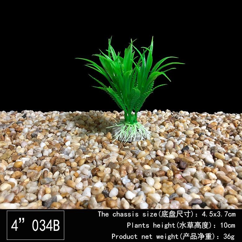 不種水草魚(yú)缸怎樣造景：不種水草的魚(yú)缸怎么造景？