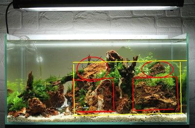 不種水草魚(yú)缸怎樣造景：不種水草的魚(yú)缸怎么造景？