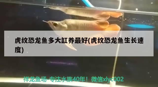 靈寶市東海水族館（靈寶市東海水族館電話）