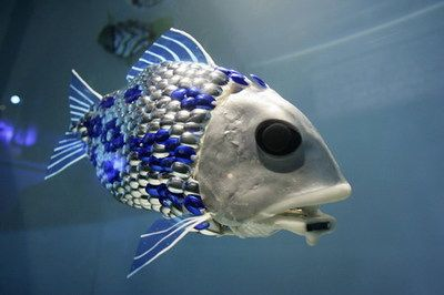 帶我去魚缸咖啡店英文:\"inenglishis\ 魚缸百科 第3張 帶我去魚缸咖啡店英文:\"inenglishis 帶我去魚缸咖啡店英文:\"inenglishis\ 魚缸百科 第3張