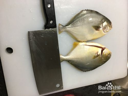 廣州觀賞魚進出口貿易公司排名前十位（廣州觀賞魚批發）