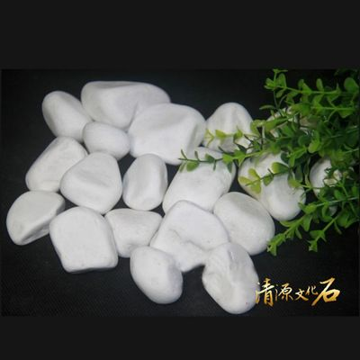 白玉石子可以放魚(yú)缸里嗎視頻教學(xué)：玉石可以放入魚(yú)缸里面嗎？
