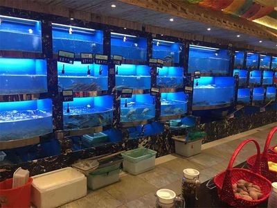 定做海鮮池魚缸多少錢一個月：定做海鮮池魚缸價格
