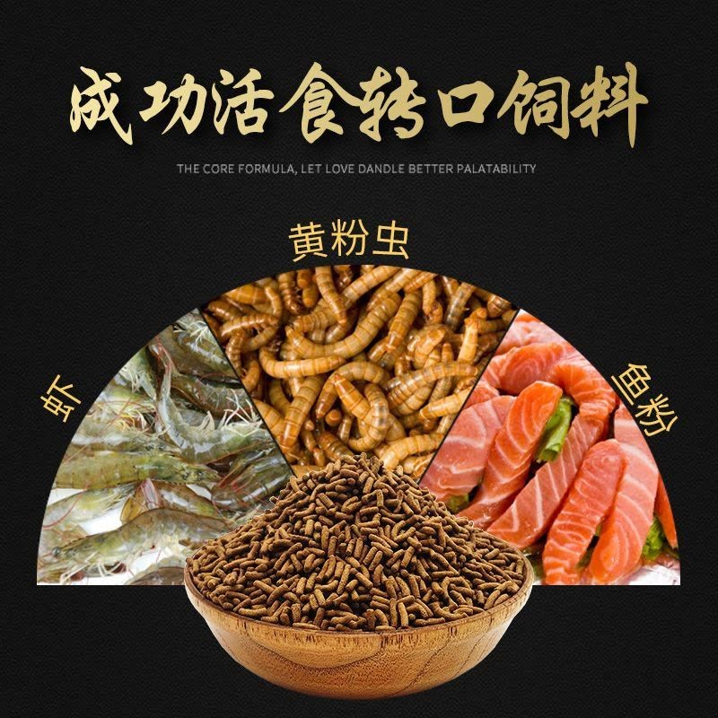 紅龍魚飼料中魚粉的選擇標準：紅龍魚飼料中魚粉的選用 紅龍魚飼料中魚粉的選擇標準：紅龍魚飼料中魚粉的選用 紅龍魚百科 第1張