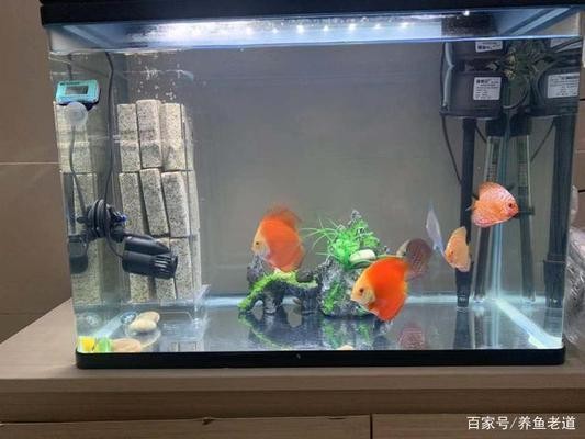 當涂縣田園水族魚缸經營部（當涂縣田園水族魚缸經營部在哪里）