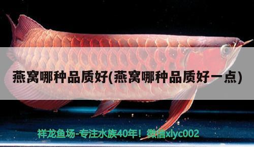 魚缸管件設計規范魚缸管件設計方案不要忘了關注祥龍魚場哦，定制魚缸需要注意哪些事項