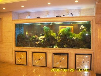定做魚缸多少錢一米合適