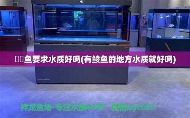 福魟魟魚最佳飼養環境設置，福[需手動填充][需手動填充]魚夜間活動習性,如何預防魟魚跳缸技巧 福魟魟魚最佳飼養環境設置，福[需手動填充][需手動填充]魚夜間活動習性,如何預防魟魚跳缸技巧 魟魚百科 第5張