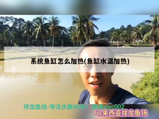系統魚缸怎么加熱(魚缸水溫加熱)