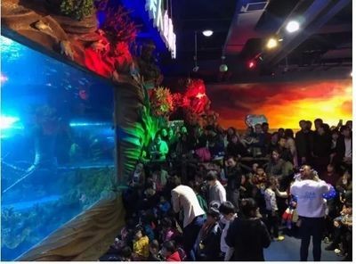 大興賣魚缸的地方在哪：大興地區售賣魚缸信息