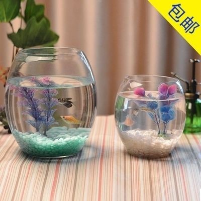 辦公桌上放魚缸好不好：辦公桌上養魚風水 辦公桌上放魚缸好不好：辦公桌上養魚風水 魚缸百科 第3張