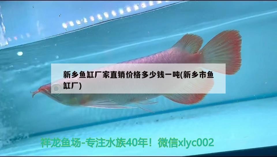 新鄉(xiāng)魚缸廠家直銷價格多少錢一噸(新鄉(xiāng)市魚缸廠)