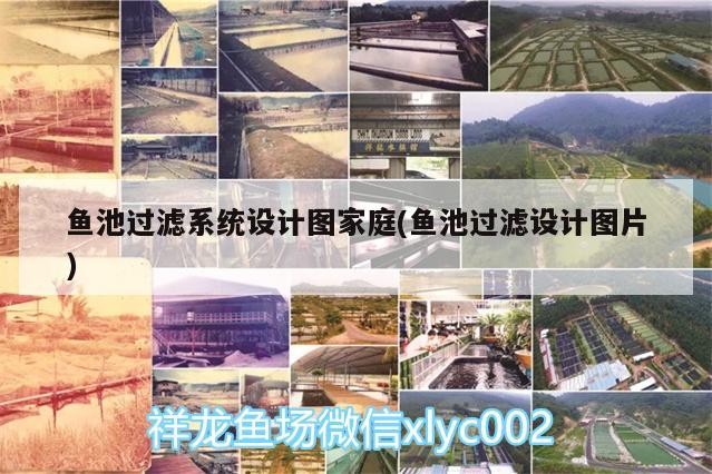 魚池過濾系統(tǒng)設(shè)計(jì)圖家庭(魚池過濾設(shè)計(jì)圖片)