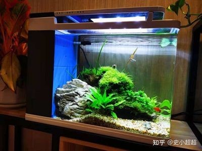 百因美魚缸：關于百因美魚缸的一些信息