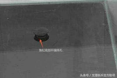 玻璃魚缸爆缸的可能信號大嗎？：如何預防魚缸爆缸