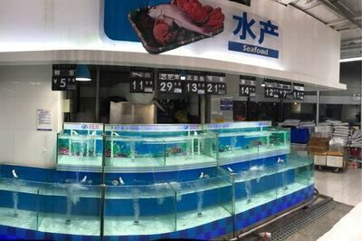 超市賣淡水魚專用魚缸怎么樣：如何評(píng)估超市賣淡水魚專用魚缸？