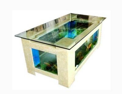 玻璃魚缸養金魚視頻：如何在玻璃魚缸中養金魚？ 玻璃魚缸養金魚視頻：如何在玻璃魚缸中養金魚？ 魚缸百科 第4張
