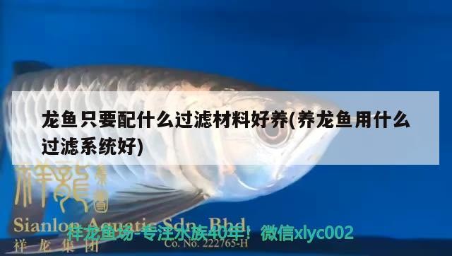 龍魚只要配什么過濾材料好養(養龍魚用什么過濾系統好)