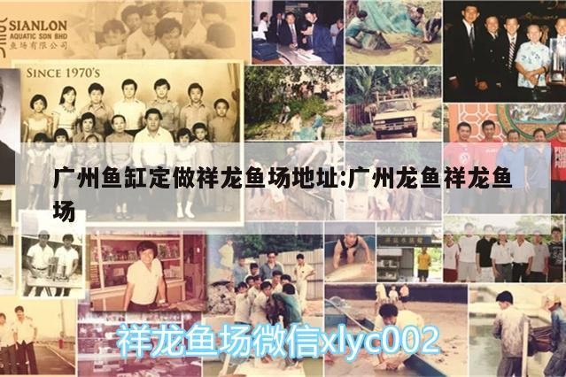 廣州魚缸定做祥龍魚場地址:廣州龍魚祥龍魚場