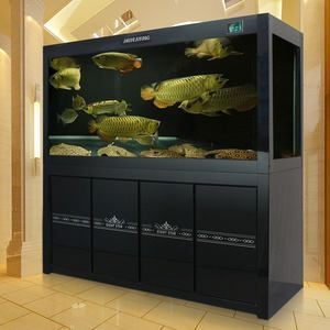 大魚缸構(gòu)造：diy大型魚缸的創(chuàng)意與技巧diy大型魚缸的創(chuàng)意與技巧