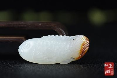 大同市南郊區博雅水族經銷部