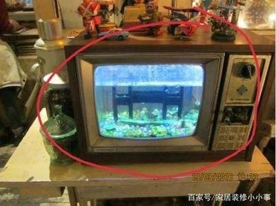 大型魚缸拆除：大型魚缸的拆除是一個需要謹慎操作的過程以避免損壞魚缸和魚類