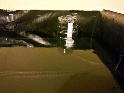 大礦泉水瓶做魚缸做法：礦泉水瓶魚缸養魚注意事項