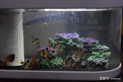 森森子彈頭魚缸hus_1200（森森子彈頭魚缸HUS_1200）