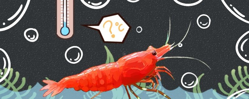 觀賞魚飼料 配方（養(yǎng)冷水魚的飼料有哪些品種）