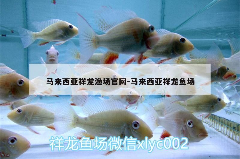 馬來西亞祥龍漁場官網:馬來西亞祥龍魚場