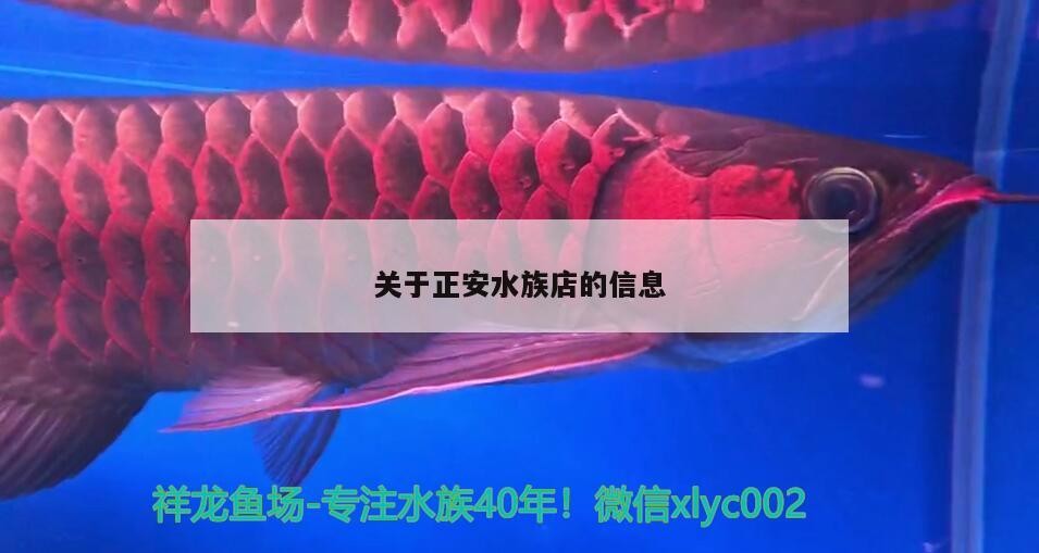 關于正安水族店的信息