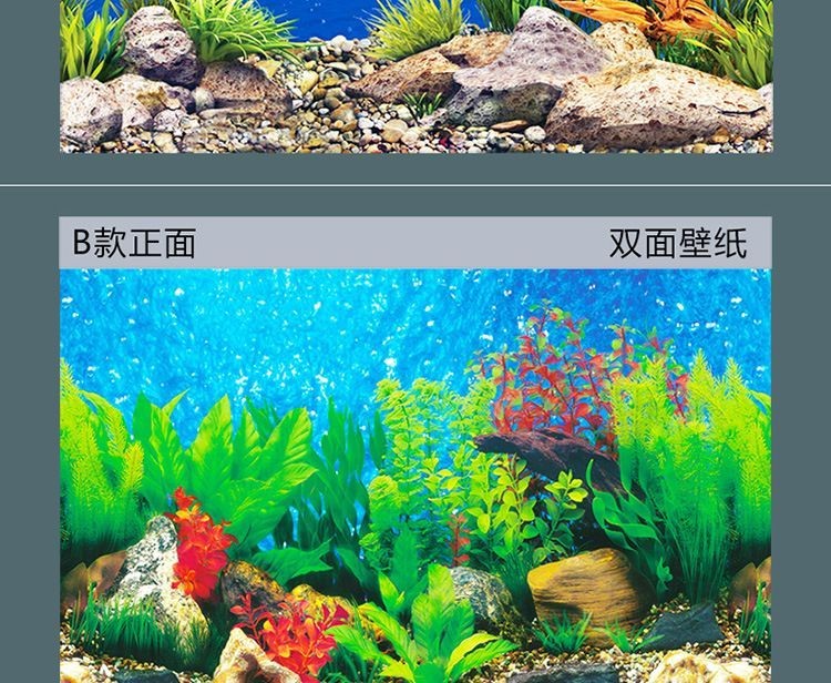 紅龍魚缸背景圖高清 紅龍魚缸背景圖高清 龍魚百科 第1張