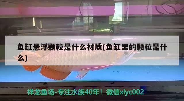 魚缸懸浮顆粒是什么材質(魚缸里的顆粒是什么)