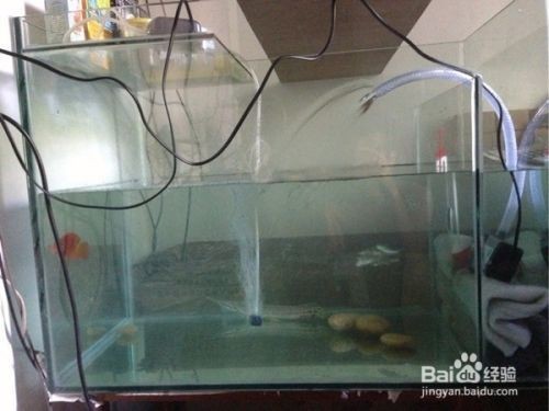 茅箭區(qū)天津路銘祥水族器材部 茅箭區(qū)天津路銘祥水族器材部 全國(guó)水族館企業(yè)名錄 第1張