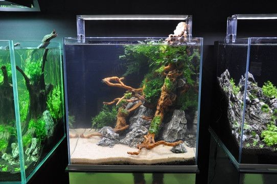 大型海水魚缸造景設計圖：大型海水魚缸造景設計圖的制作方法魚缸造景制作方法
