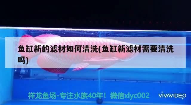 哎疫情快點結束吧
