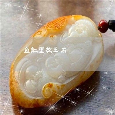 把玉放魚缸里好嗎視頻：將玉放入魚缸有什么風險？ 把玉放魚缸里好嗎視頻：將玉放入魚缸有什么風險？ 魚缸百科 第1張