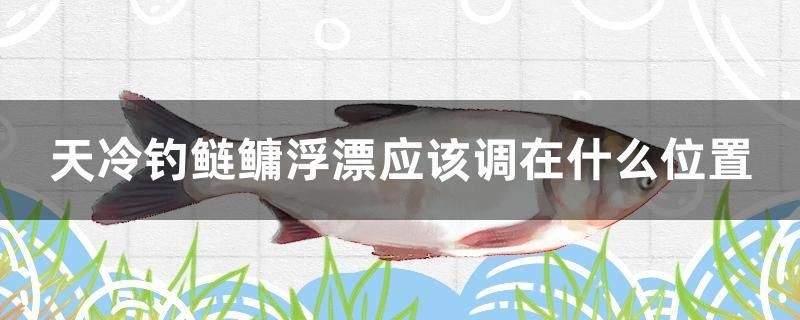 天冷釣鰱鳙浮漂應該調(diào)在什么位置