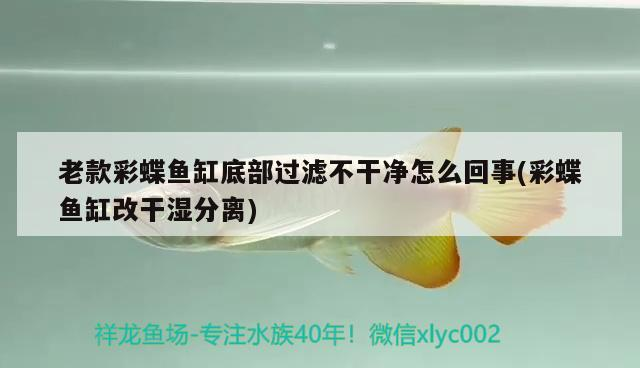 老款彩蝶魚缸底部過濾不干凈怎么回事(彩蝶魚缸改干濕分離) 老款彩蝶魚缸底部過濾不干凈怎么回事(彩蝶魚缸改干濕分離) 觀賞魚百科