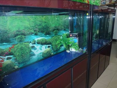 樂清森森水族：\"樂清森森水族\"信息