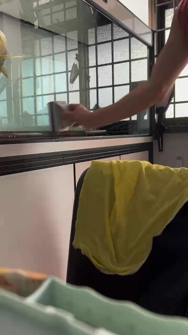 刷缸 換水 洗棉 也是一種養魚人的快樂吧