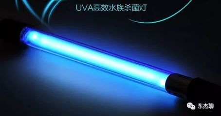 扎蘭屯市乾源水族會館(扎蘭屯生態園飯店電話) 全國水族館企業名錄 第1張 扎蘭屯市乾源水族會館(扎蘭屯生態園飯店電話) 扎蘭屯市乾源水族會館(扎蘭屯生態園飯店電話) 全國水族館企業名錄 第1張