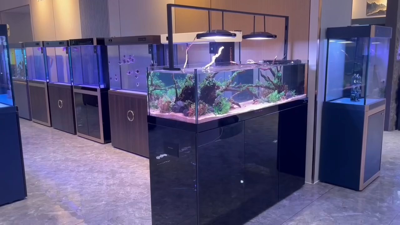 可麗愛愛唯希
